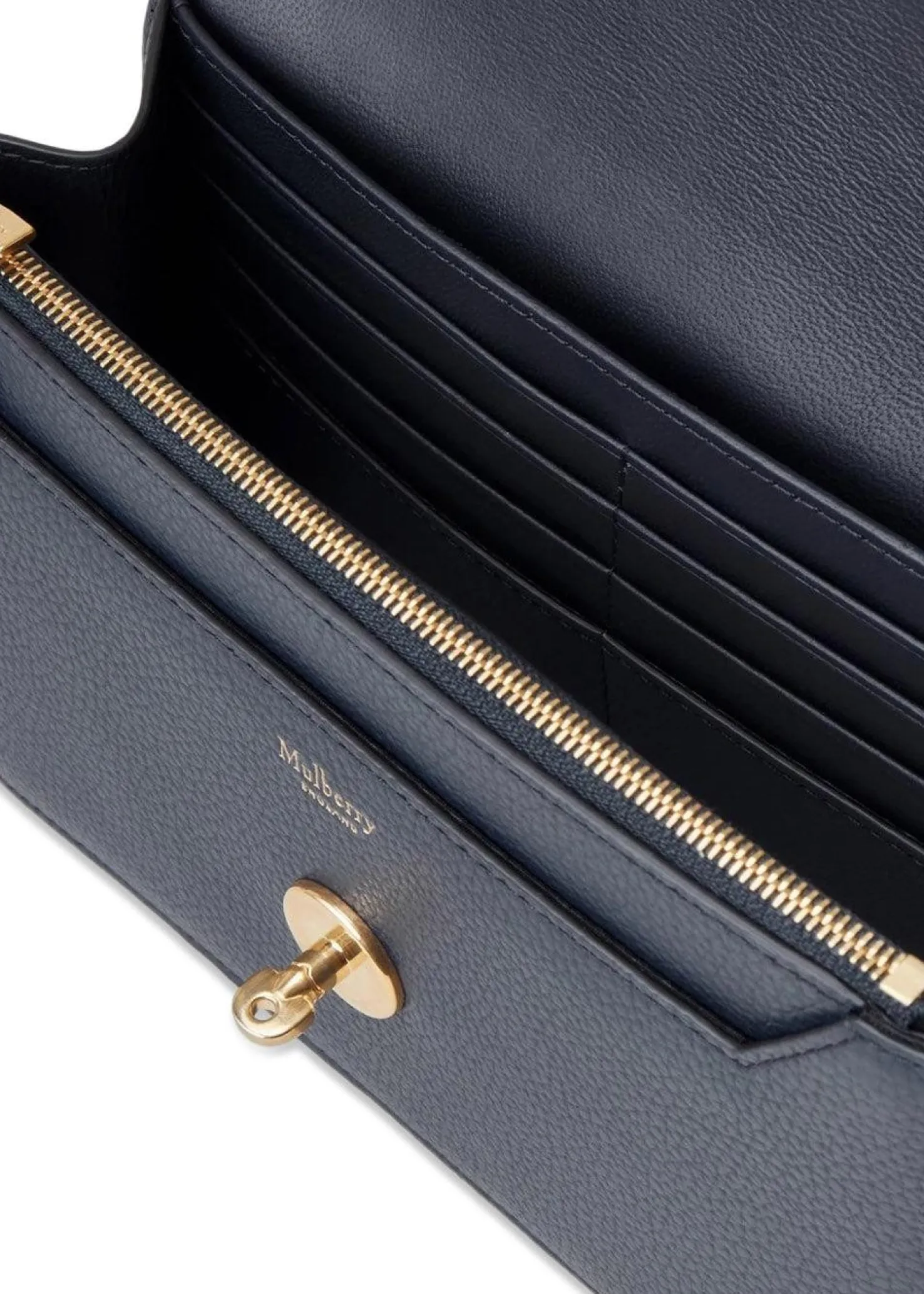 Mulberry Small Darley SCG