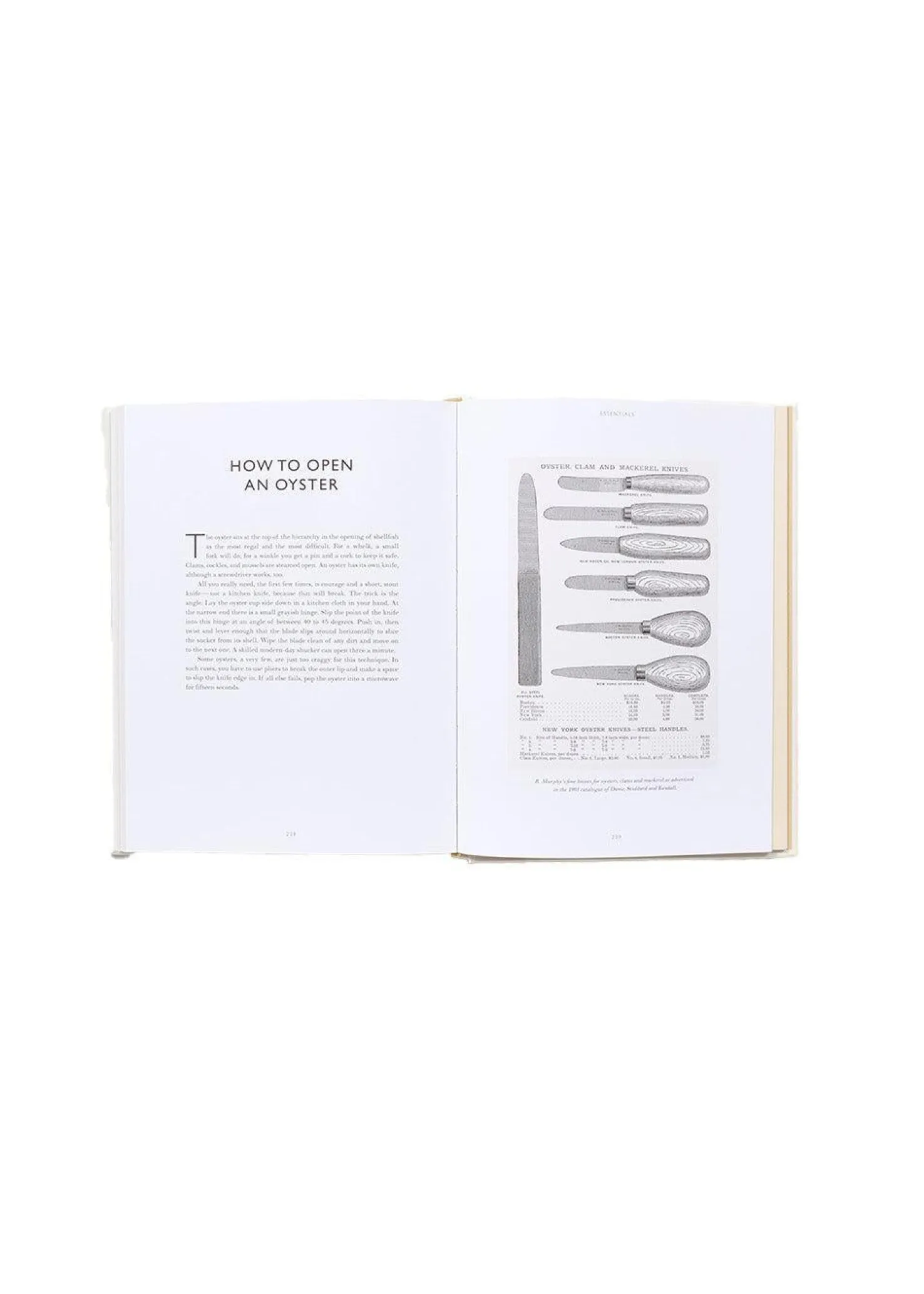 New Mags Oyster: A Gastronomic History