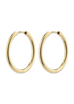 Pilgrim APRIL small hoop earrings gold-plated